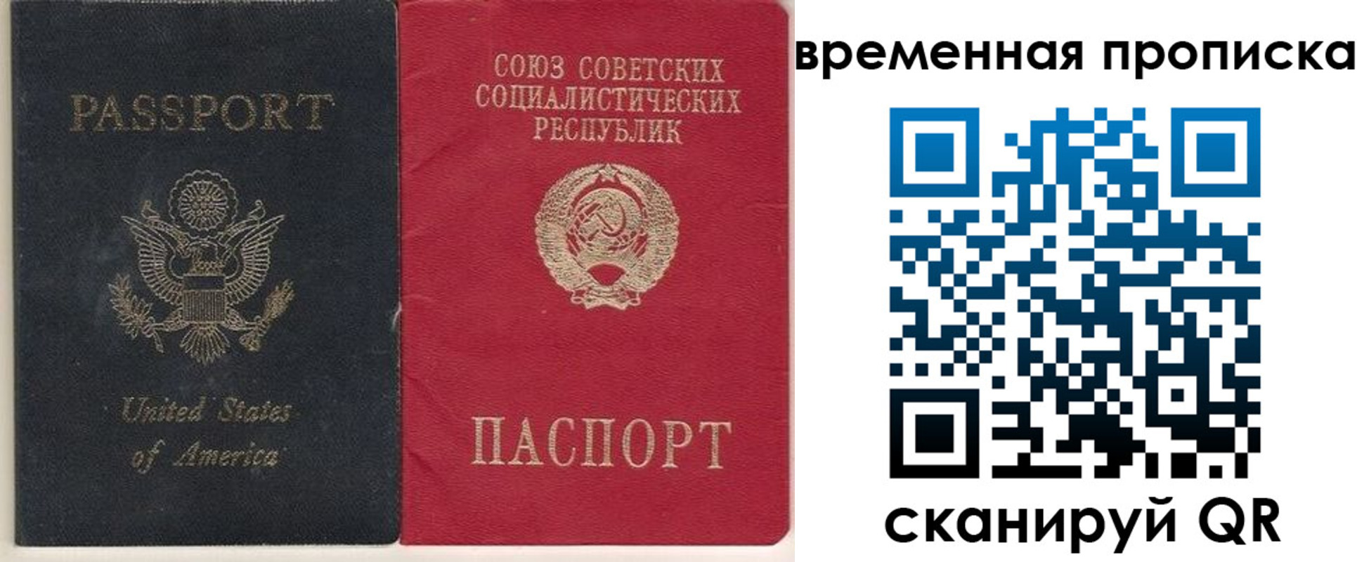 прописка для школы в Щёкино